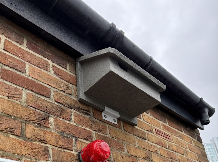 birdbox st luke