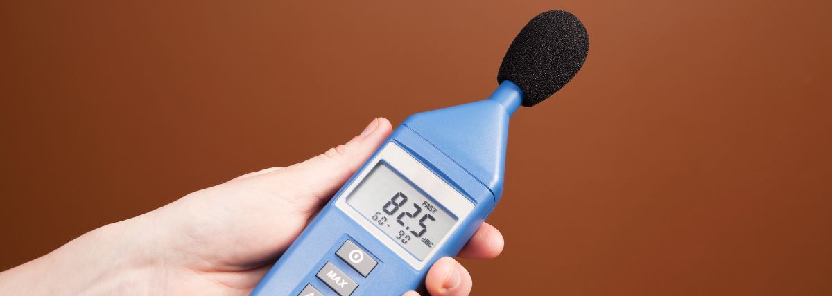 The Hidden Impact of Noise Pollution